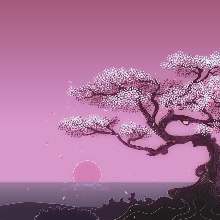 Cherry Blossom