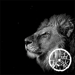 Lion in the wind  凛风狮子
