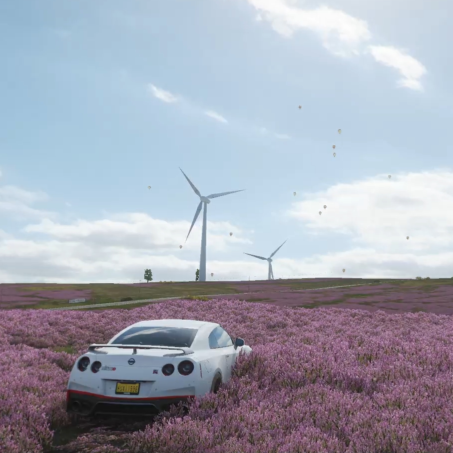 Steam Workshop 地平线4 花海