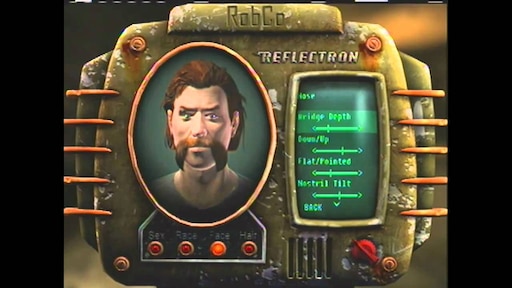 Fallout New Vegas character builds
