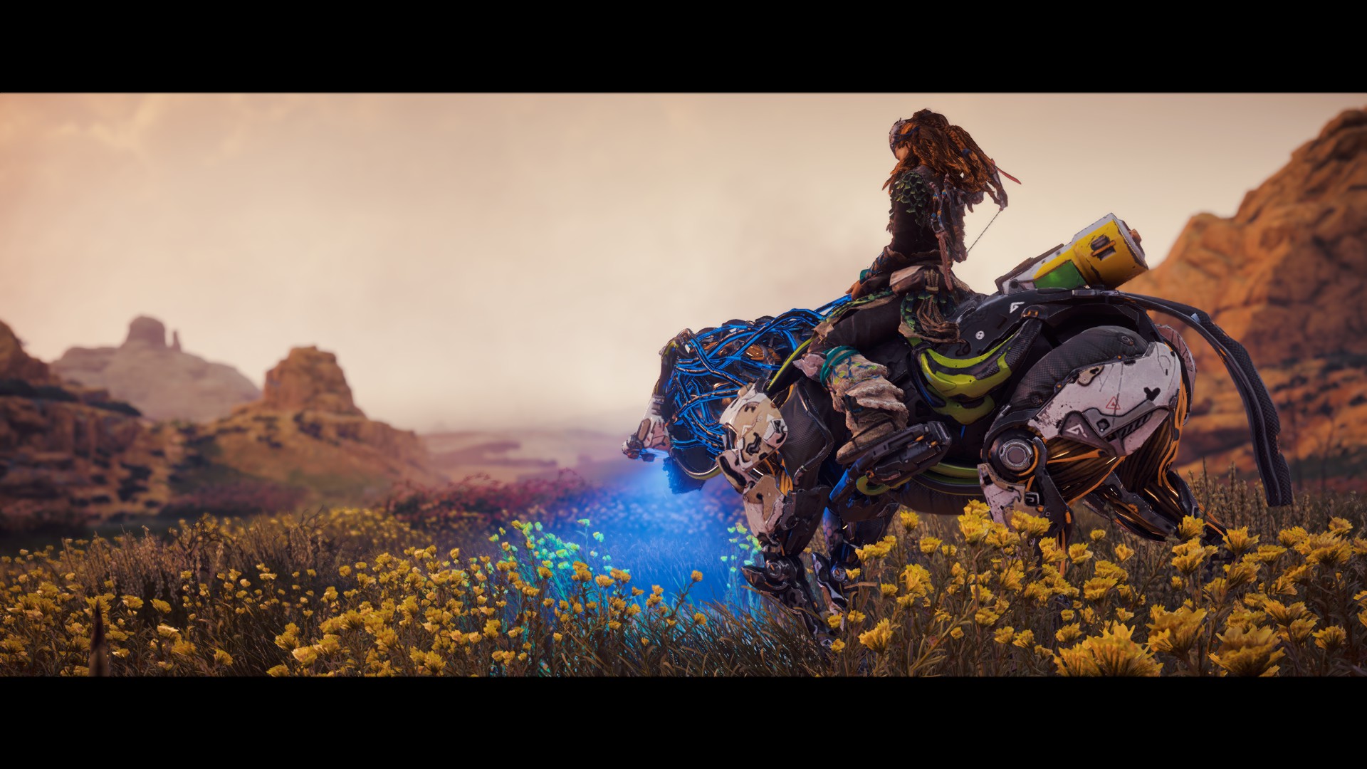 E30131A55C7B789A1438DF8B65EFE1085BD32B40