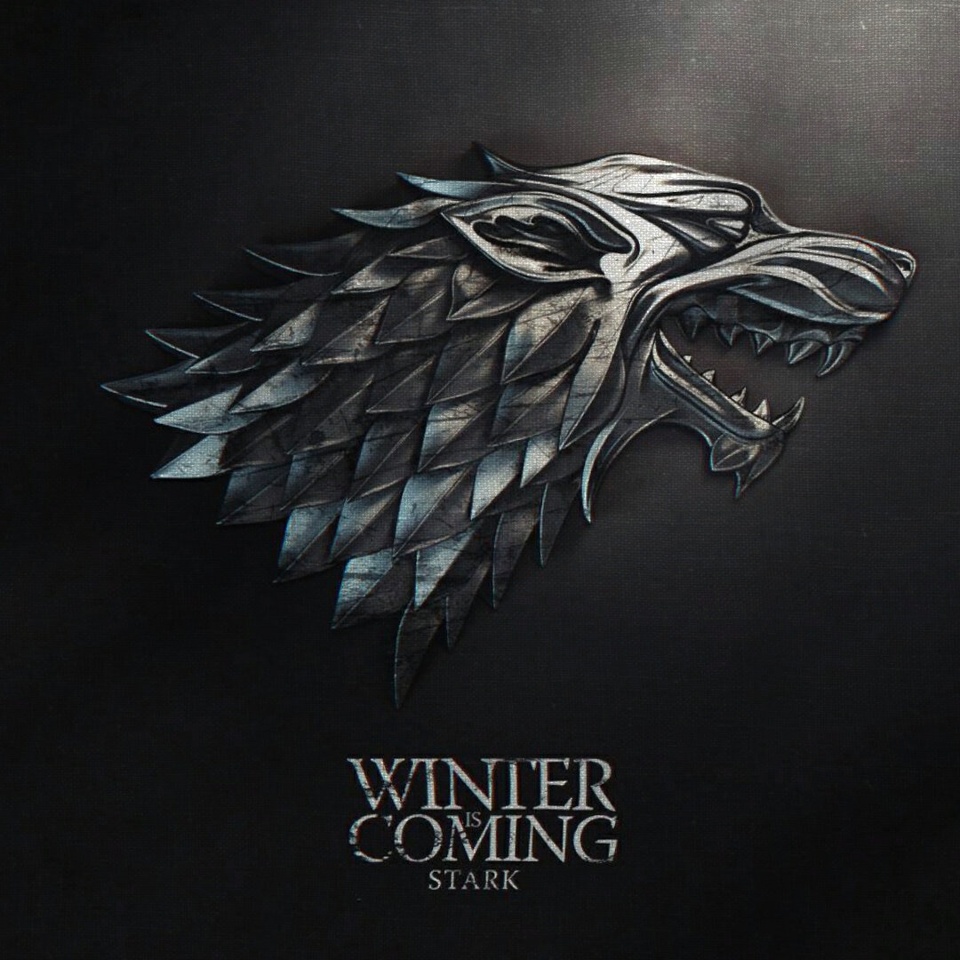 Game of Thrones Flag Winter is coming