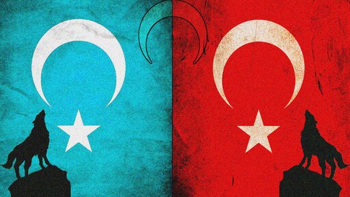 Флаг Турции с волком