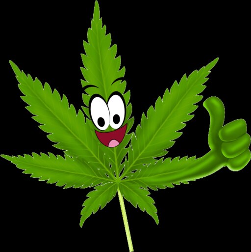 Как выглядит конопляный лист Как выглядит конопляный лист