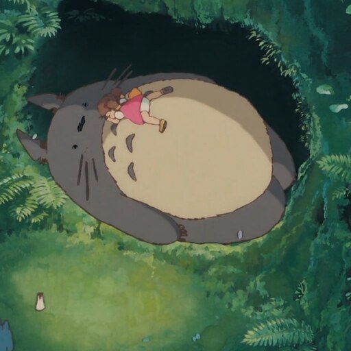 Totoro sleeping cheap