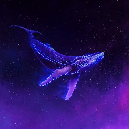 Lucid Sea: Whale | Wallpapers HDV