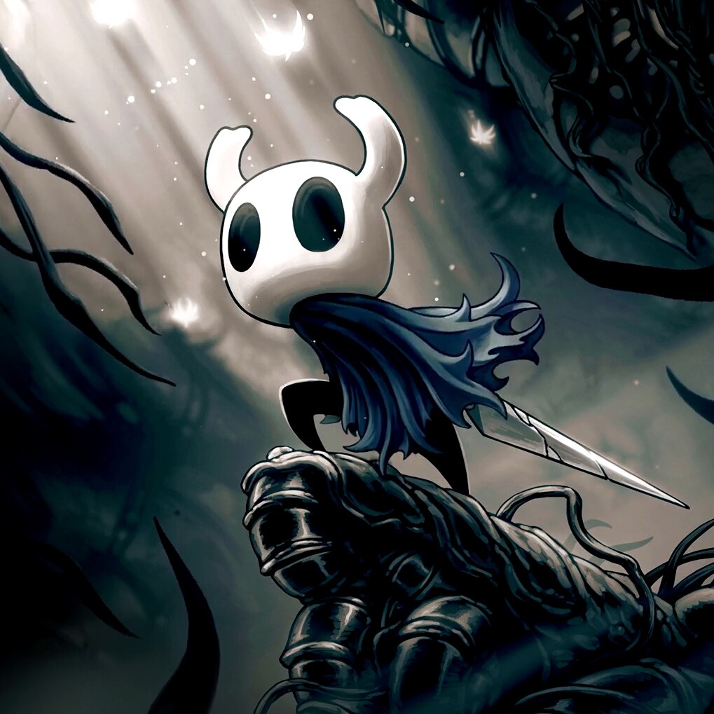 Hollow Knight