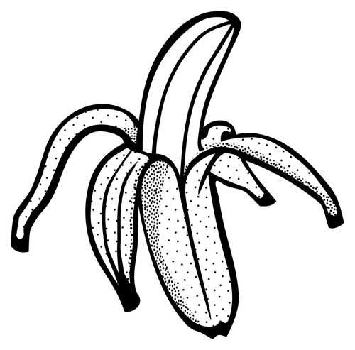 Gambar Pisang Hitam Putih Gambar Pisang Hitam Putih