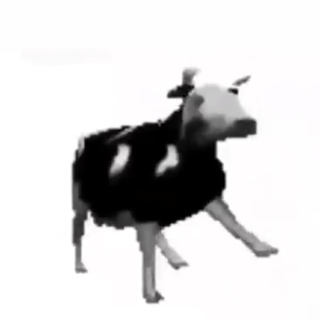 Polish Cow Gif - IceGif