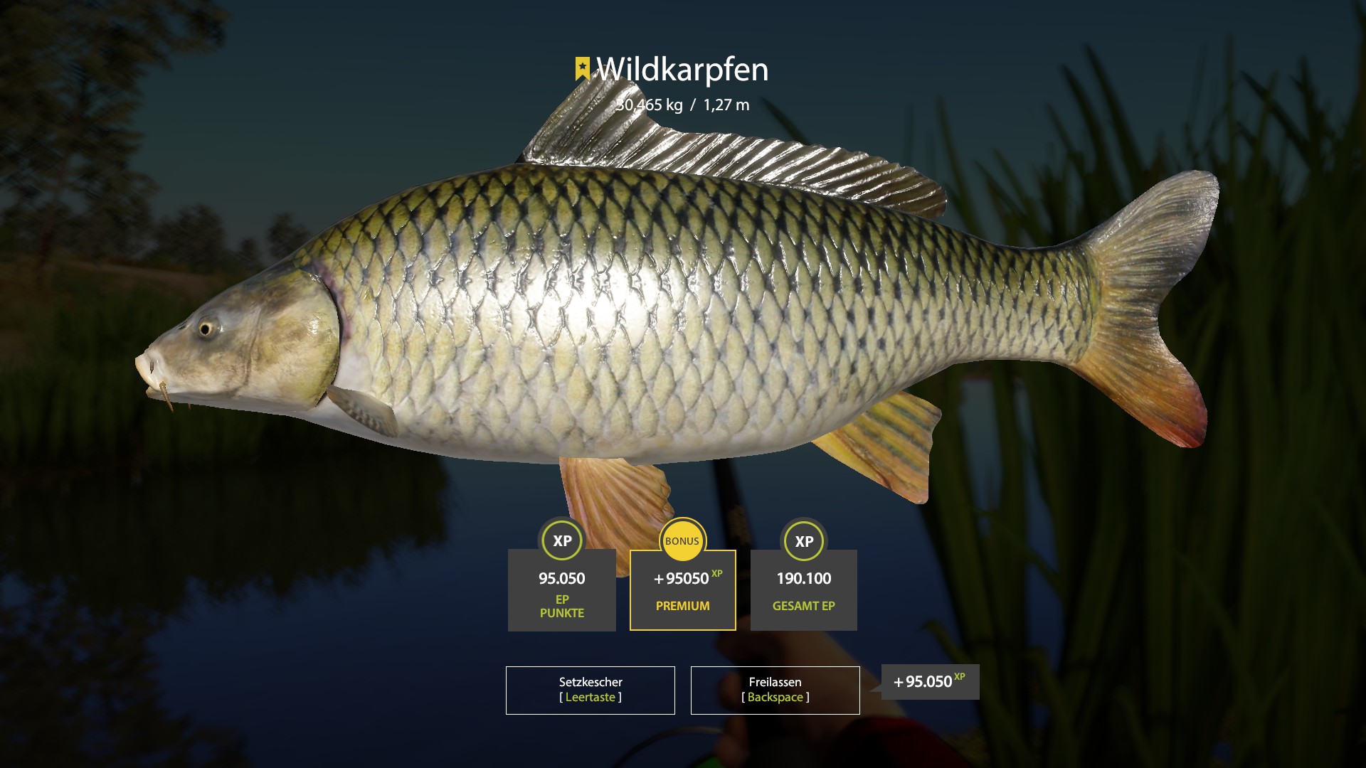 На что ловить карпа в рр4 Steam Community :: Video :: Russian Fishing 4 Amber Lake Trophy Mirror Carp