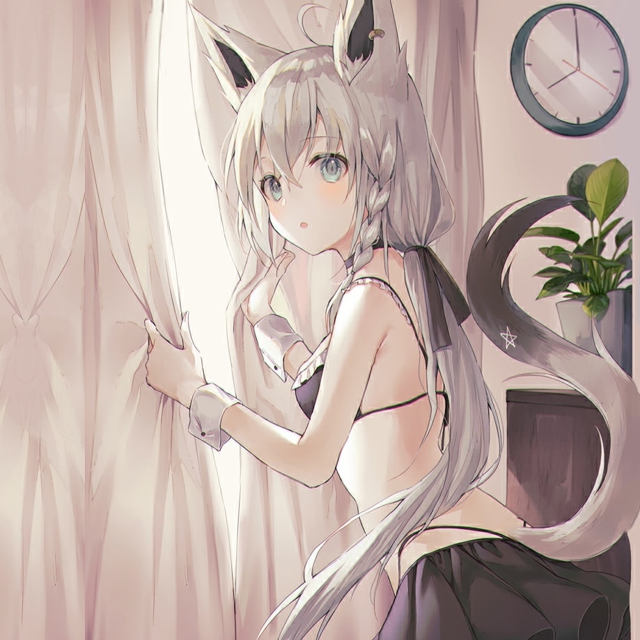 Cute cat anime girl