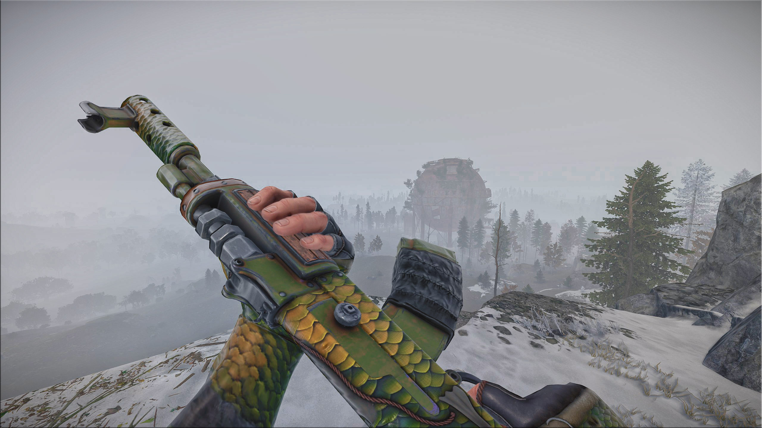 Fish AK thumbnail 12