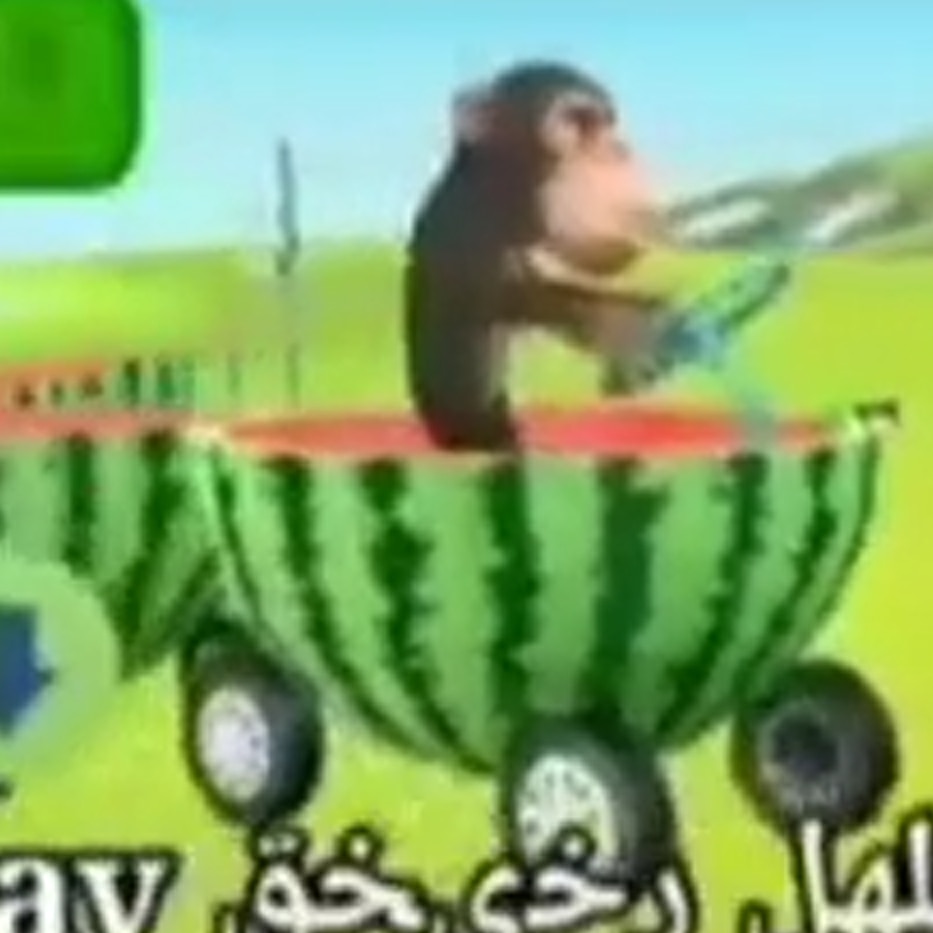 monkecar