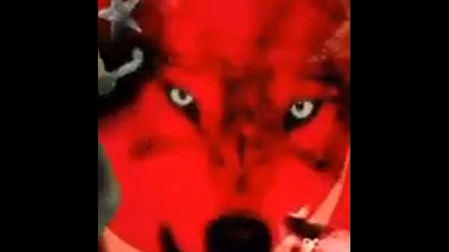 steam workshop yasasin irkimiz kurt dansi