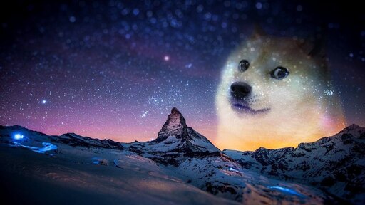 This is doge steam фото 25