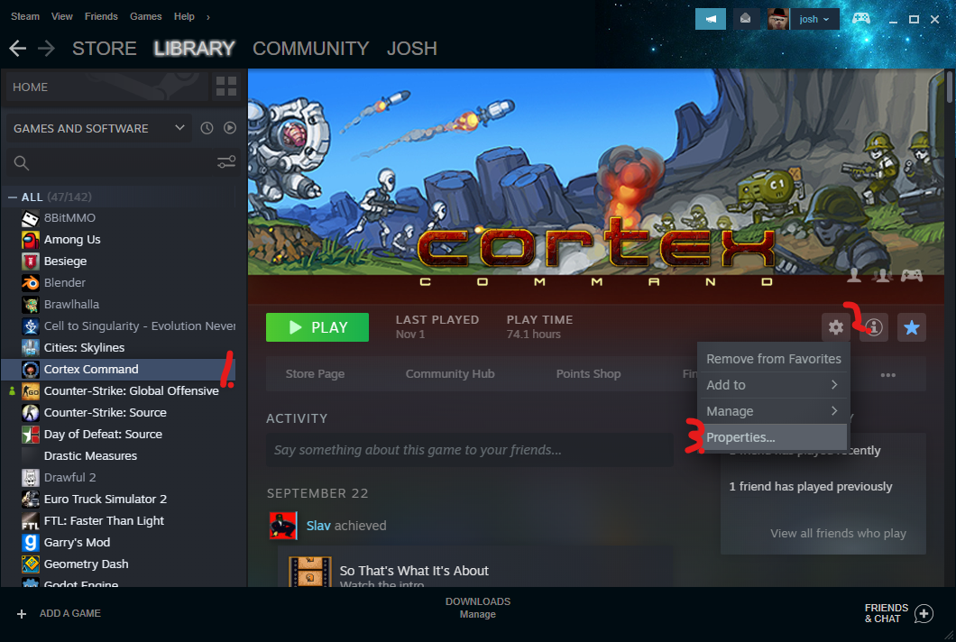 How to Play Online Multiplayer and the CCCP – Steam Solo