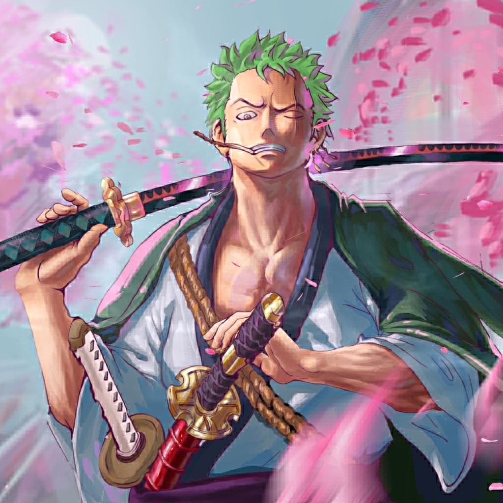 Zoro ~~ One Piece