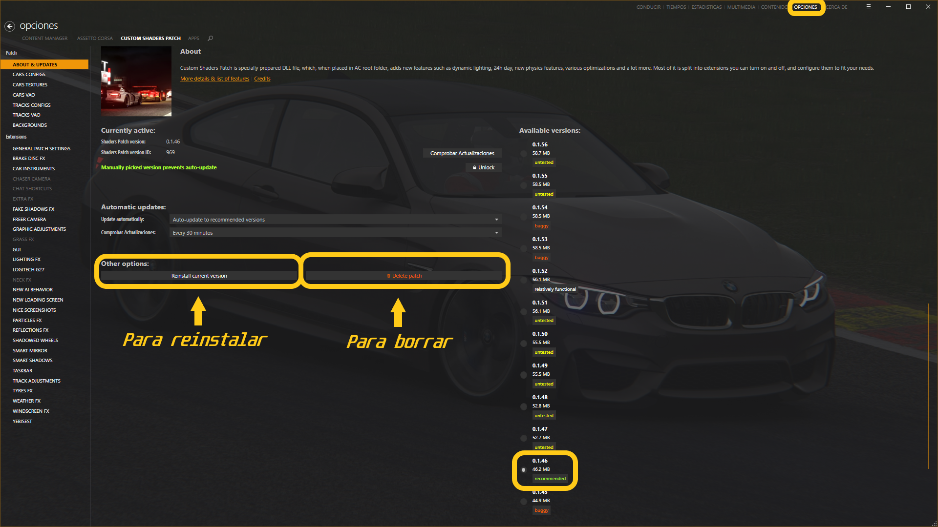 Assetto Corsa Content Manager Custom Shaders Patch