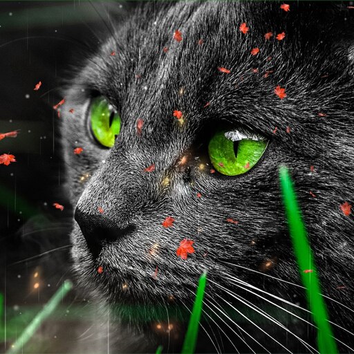 Зеленые глаза кошки фото Зеленые глаза кошки фото