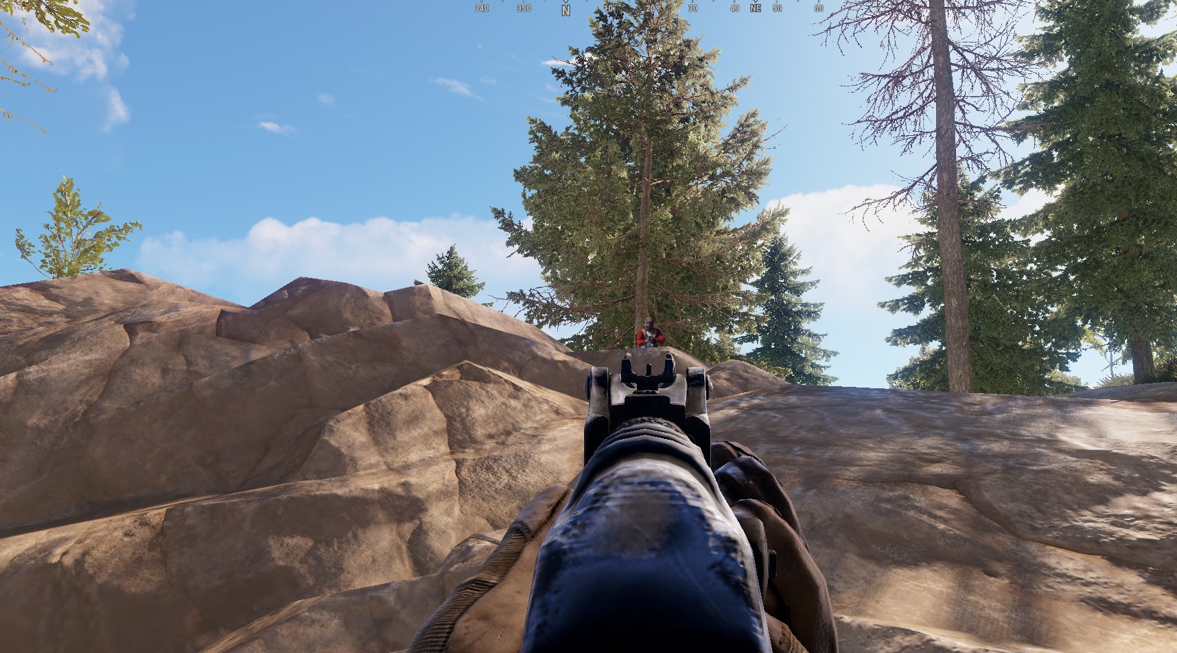 Decoy Target thumbnail 3
