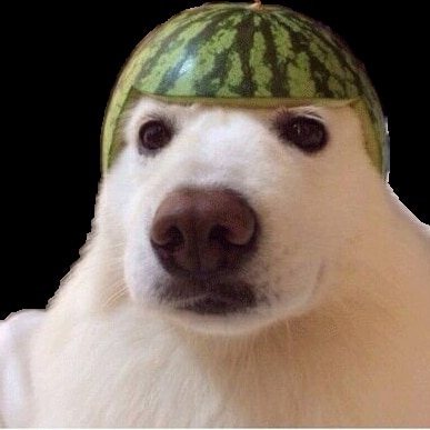 melon dog