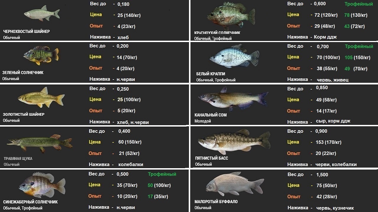 Рыбалка карта клева. Fishing Planet таблица опыта за рыбу. Fishing Planet таблица снастей. Рыбы фишинг планет. Таблица стоимости рыбы.