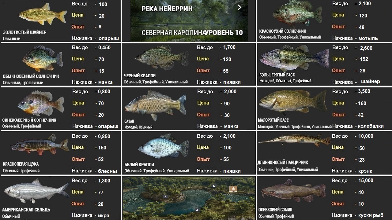 Таблица игры рыбалка. Рыбы фишинг планет. Карта фишинг планет. Таблица стоимости рыбы. Fishing Planet Мадвотер рыба таблица.