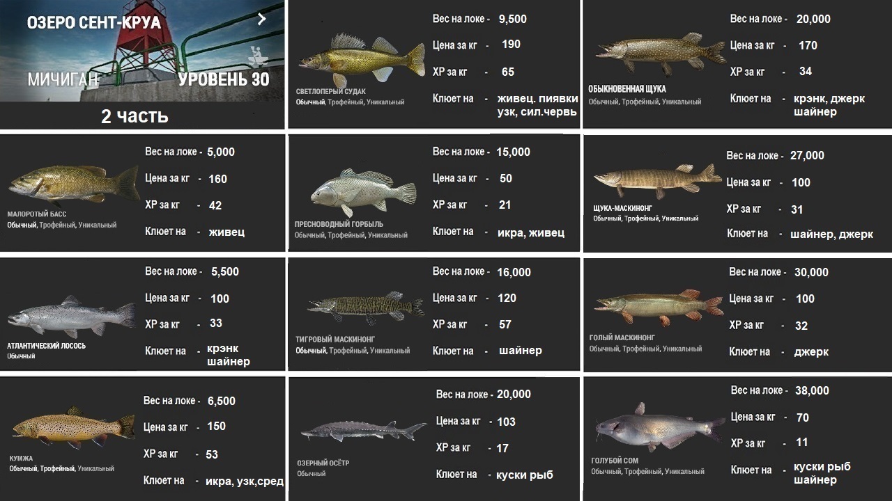 Таблица игры рыбалка. Фишинг планет таблица. Рыбы фишинг планет. Fishing Planet таблица. Таблица рыб в фишинг планет.