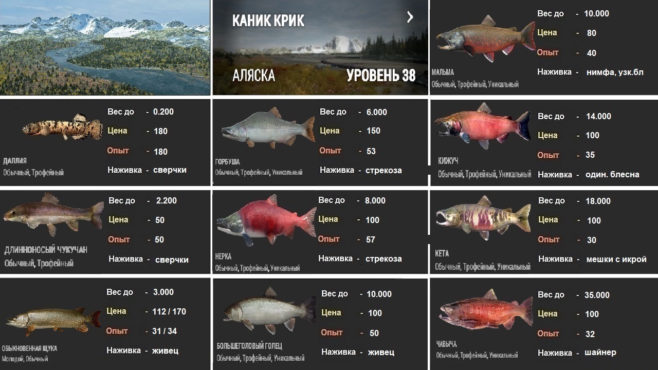 Рыбалка карта клева. Fishing Planet таблица опыта за рыбу. Fishing Planet таблица рыб. Таблица стоимости рыбы. Таблица цен на рыбу.