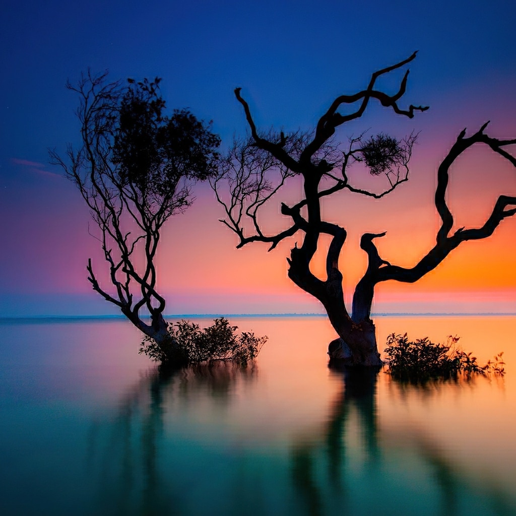 Rainbow Sunset