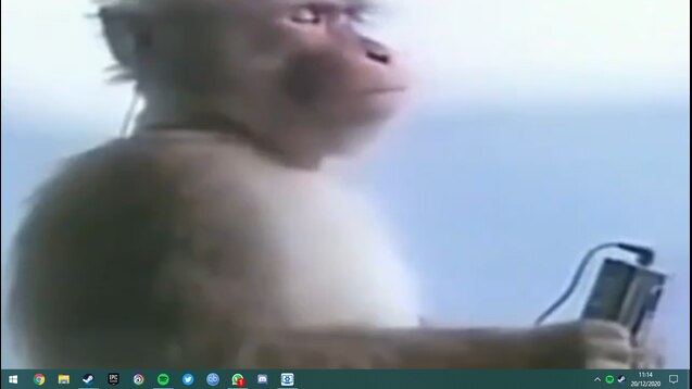 Monkey listening to Red Dead Redemtion's music on sony walkman 