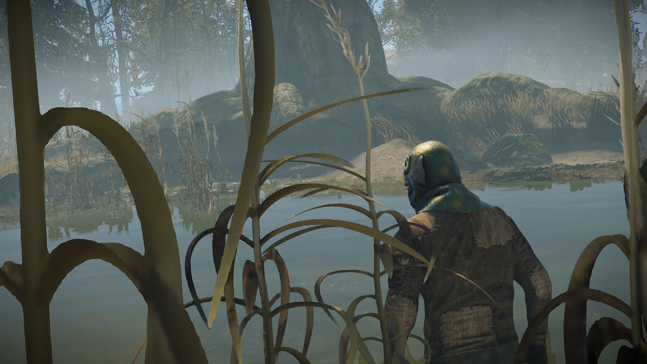 Fish Head thumbnail 5