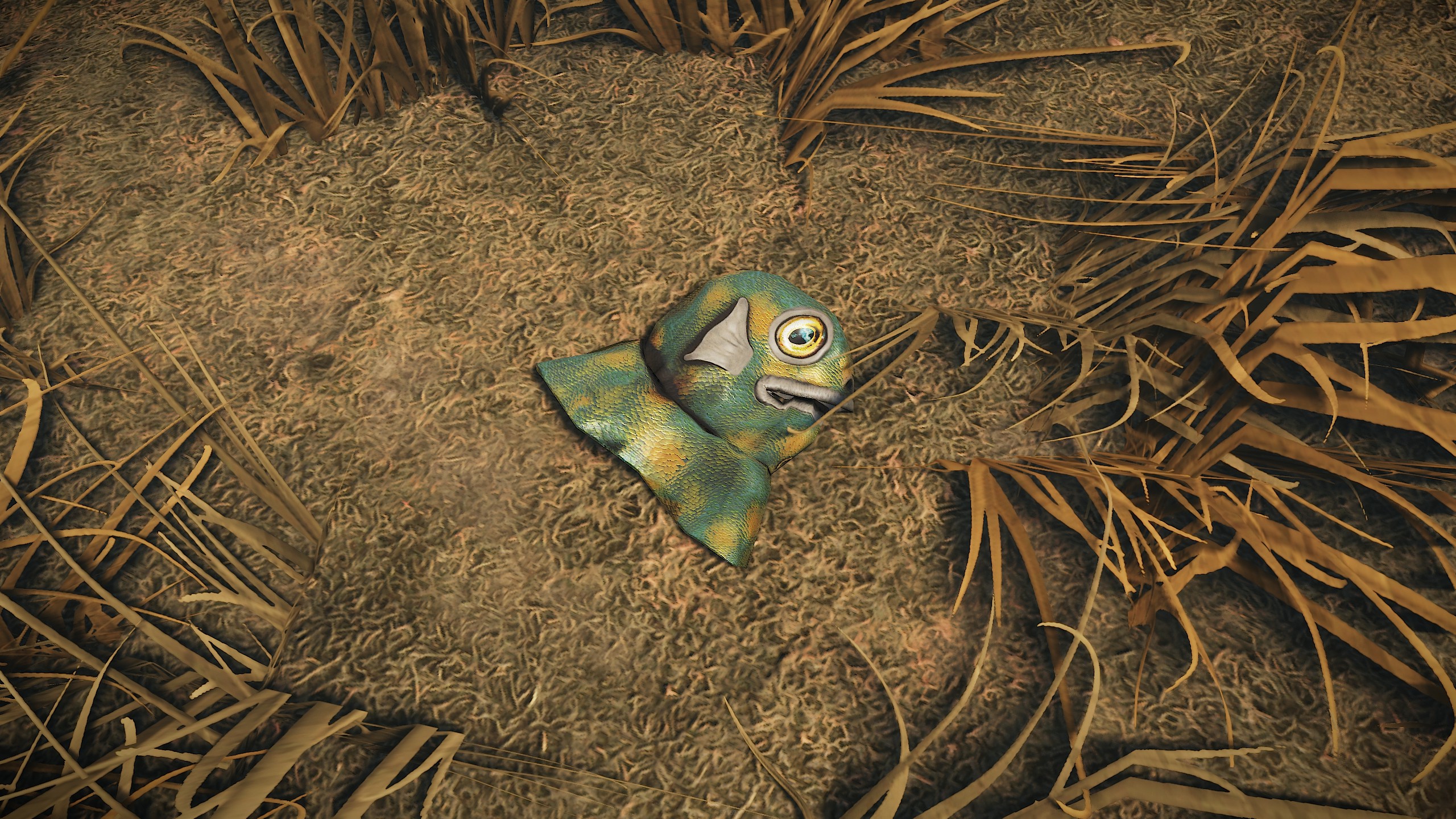 Fish Head thumbnail 7