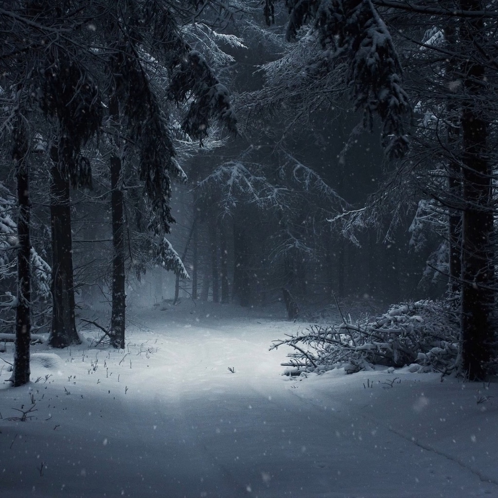 [Looped] Dark Winter Path