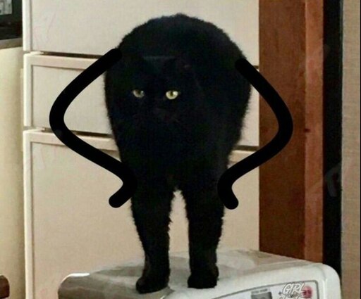 Черный мем кот с музыкой Черный мем кот с музыкой