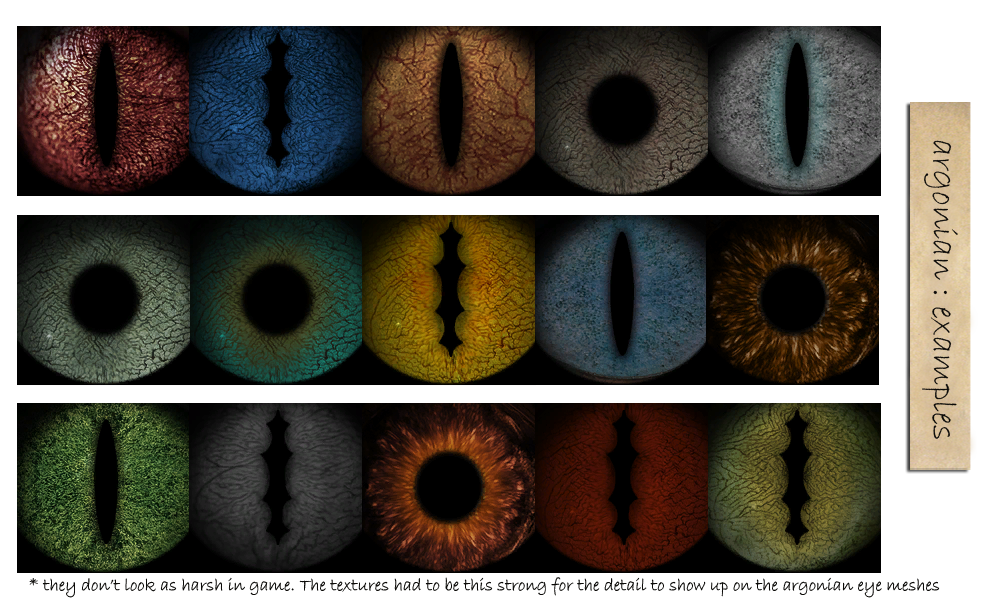 Vortex для скайрим