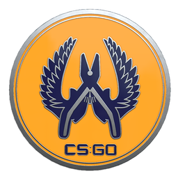 Steam Community :: Guide :: All csgo Pins, Coins , Trophies ,and Medals