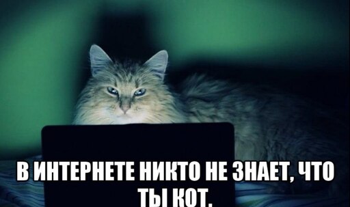 Ни 1 не знаешь. В интернете никто не знает что ты кот. Никто в интернете не знает что вы кот. В инете никто не знает что ты кот. Никто не знает что я.