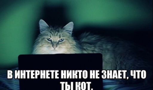 Никто не знает. В интернете никто не знает что ты кот. Никто в интернете не знает что вы кот. В инете никто не знает что ты кот. Никто не знает что я.