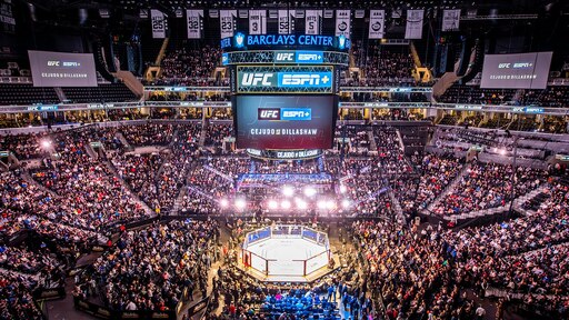 Арена UFC В Лас Вегасе