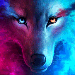 The Wolf | Wallpapers HDV