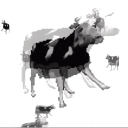 Dancing Polish Cow