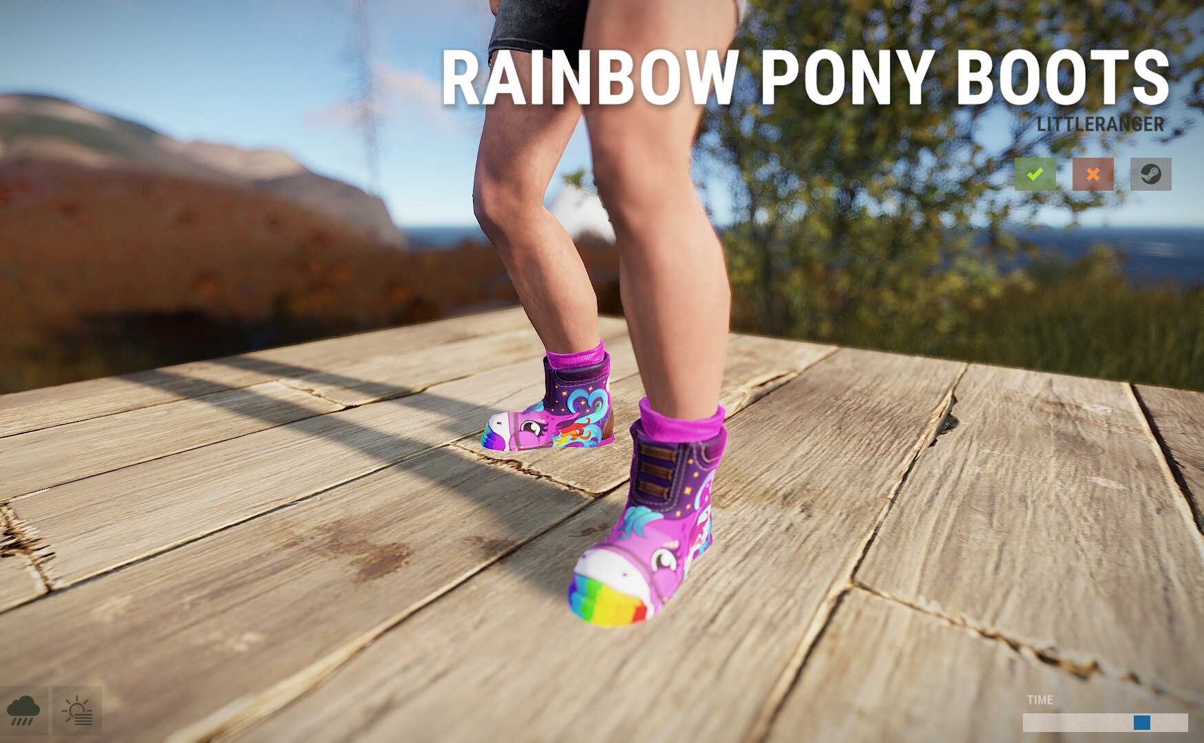 Rainbow Pony Boots thumbnail 3