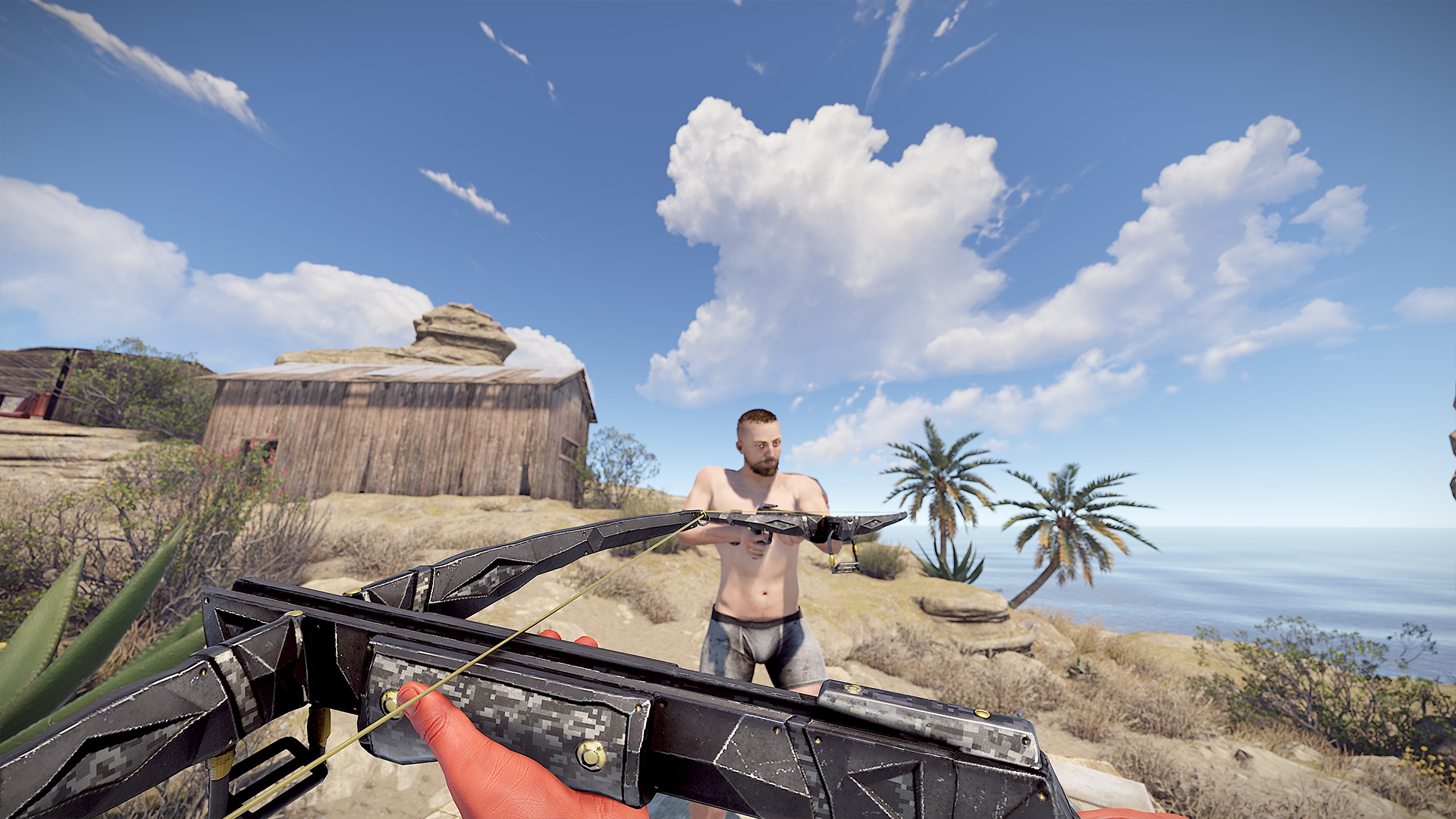 Shadowstrike Crossbow thumbnail 2