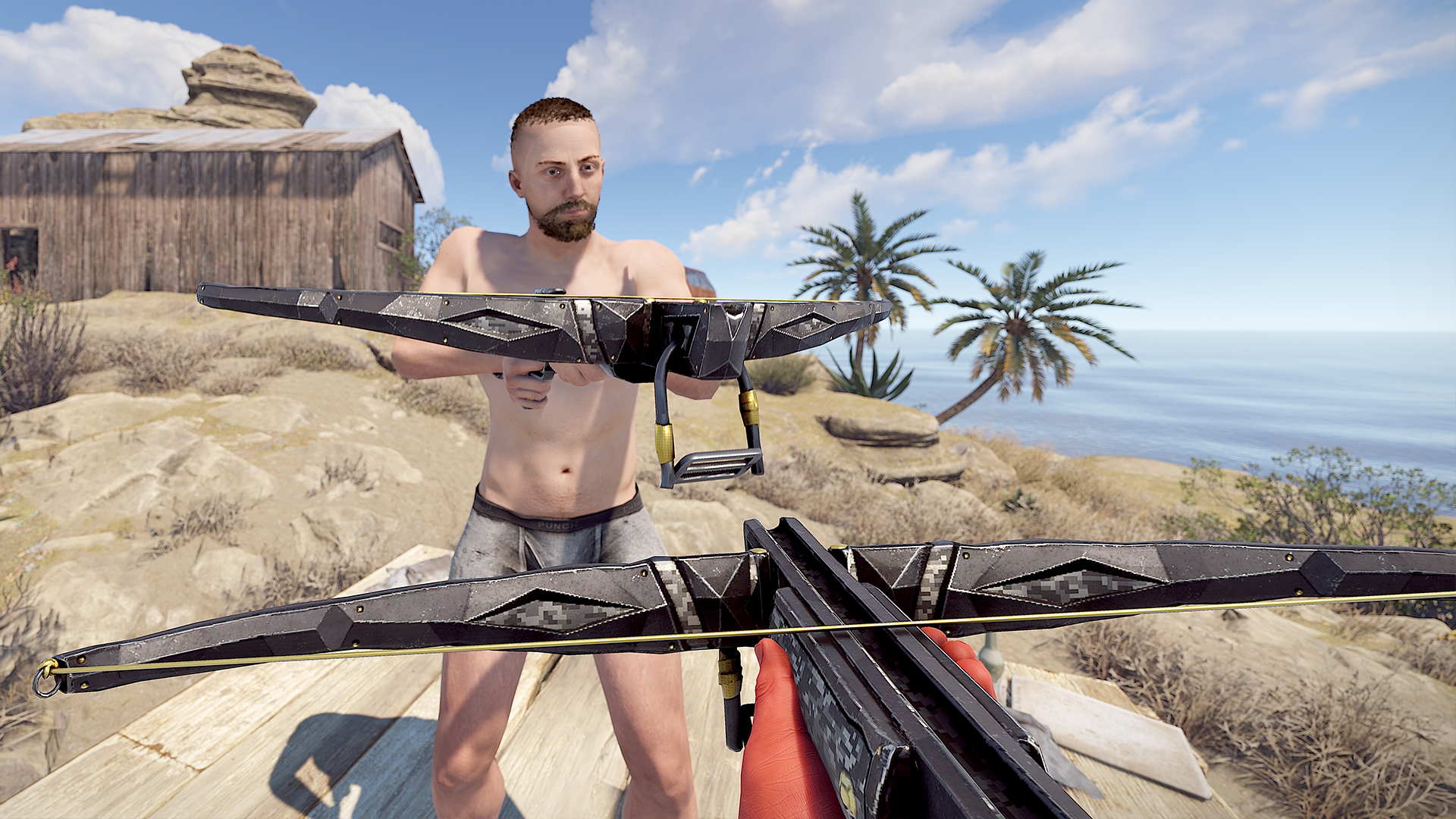 Shadowstrike Crossbow screenshot 1