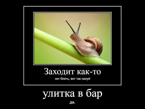 Пьяная улитка красная ул 1 2 фото Пьяная улитка красная ул 1 2 фото