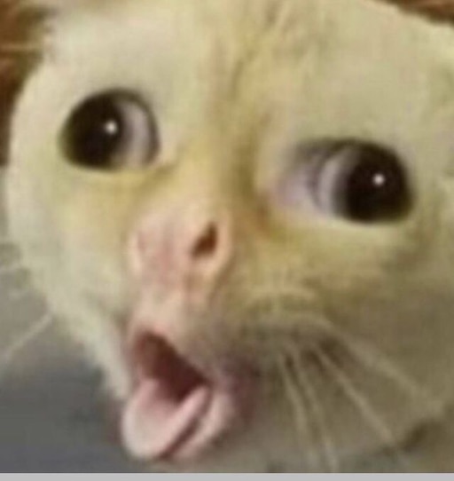 Мем с косоглазым котом Мем с косоглазым котом