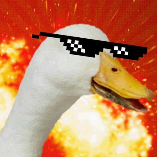 Гусь в очках фото Гусь в очках фото