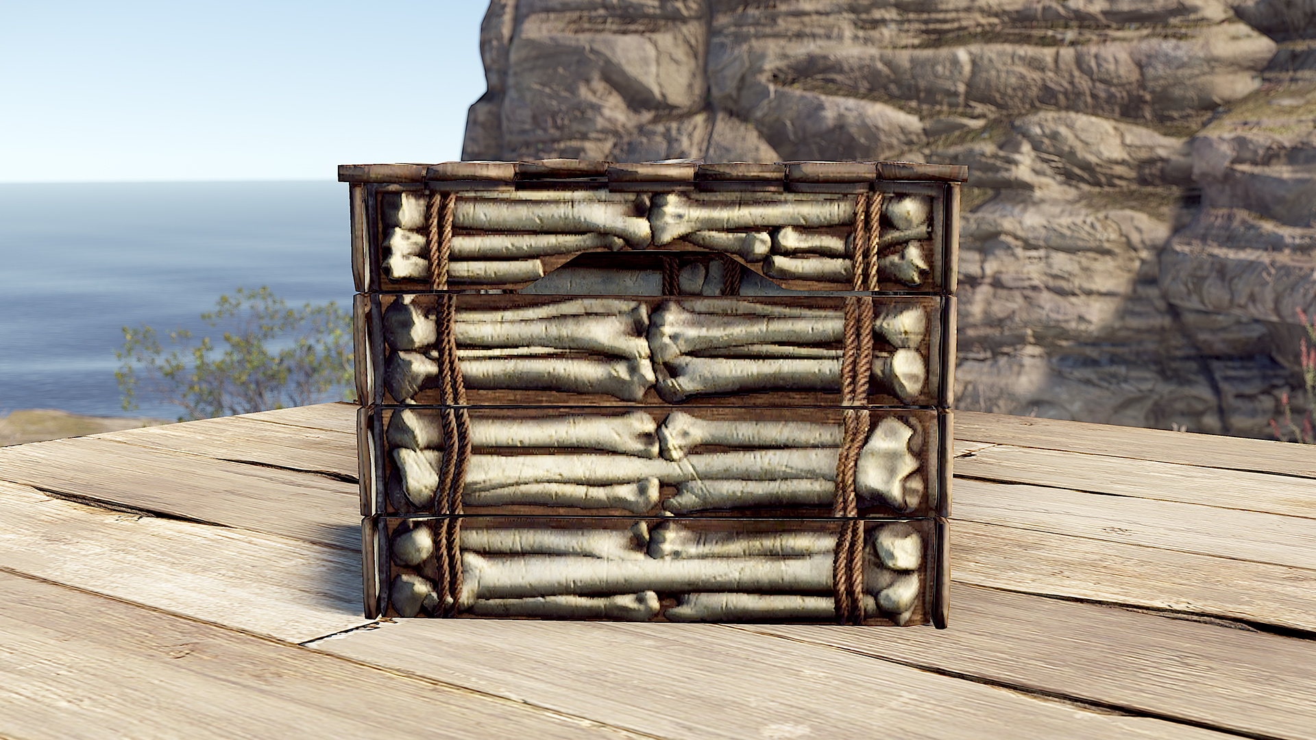 Bone Cage Box thumbnail 3