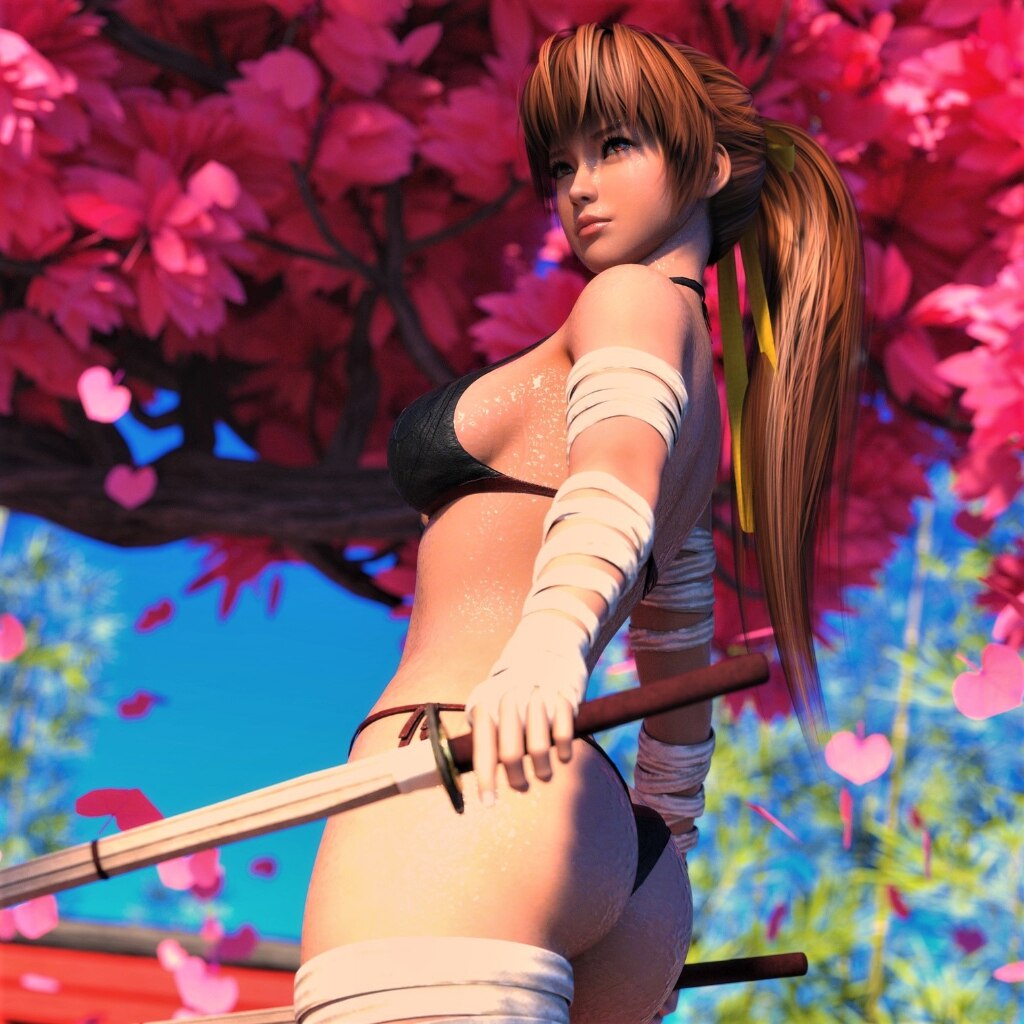 Kasumi | Dead or Alive / 18+ X-ray NSFW & SFW ( 3 Versions )